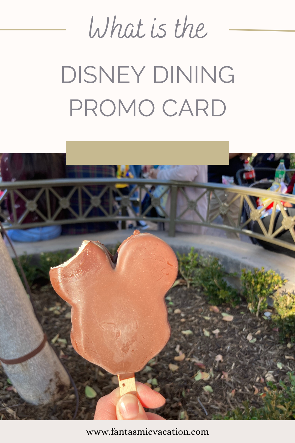 What is the Disney Dining Promo Card Fantasmic Vacation